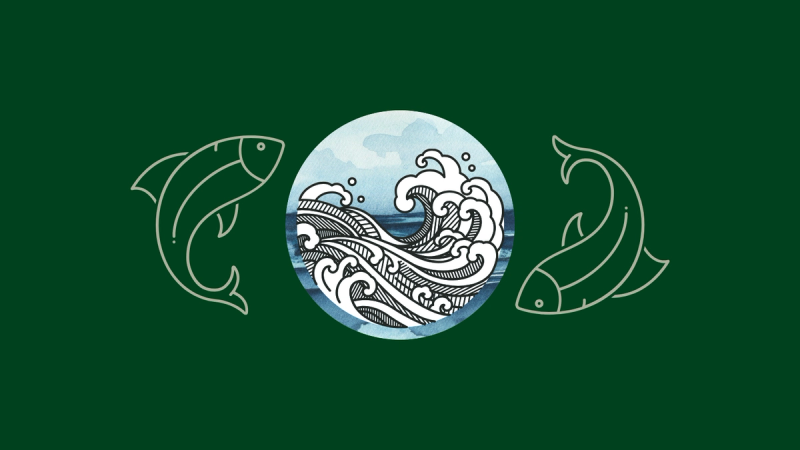 An illustrated ocean with two pencil drawn fish.